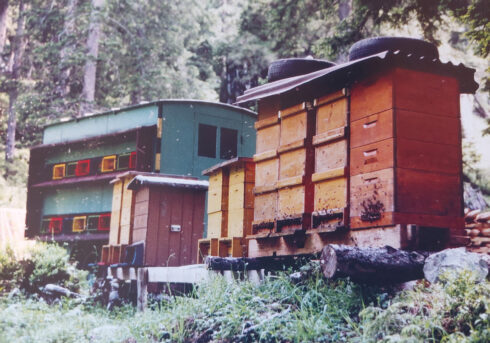 1988: Die Wanderimker