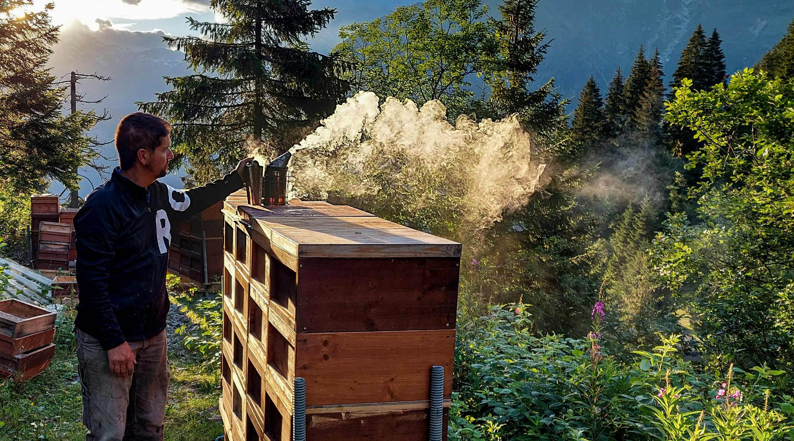 Die Bienen - unsere Leidenschaft
