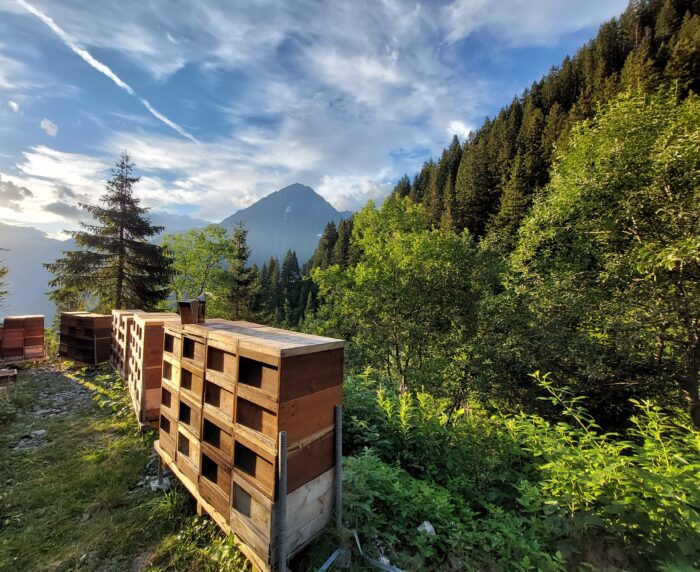 Standplatz urner honig buerglen 01