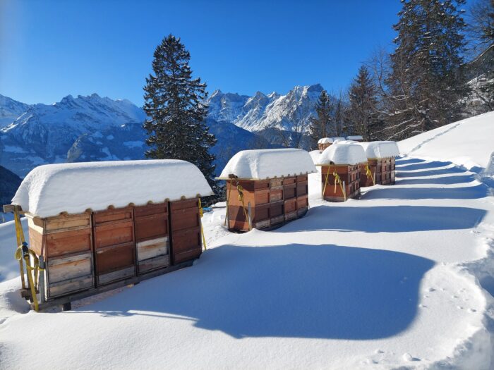 Winter Standplatz